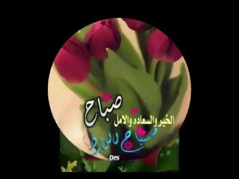 خلفيات زهور - اروع الصور والخلفيات الروعة الجميلة 482 8