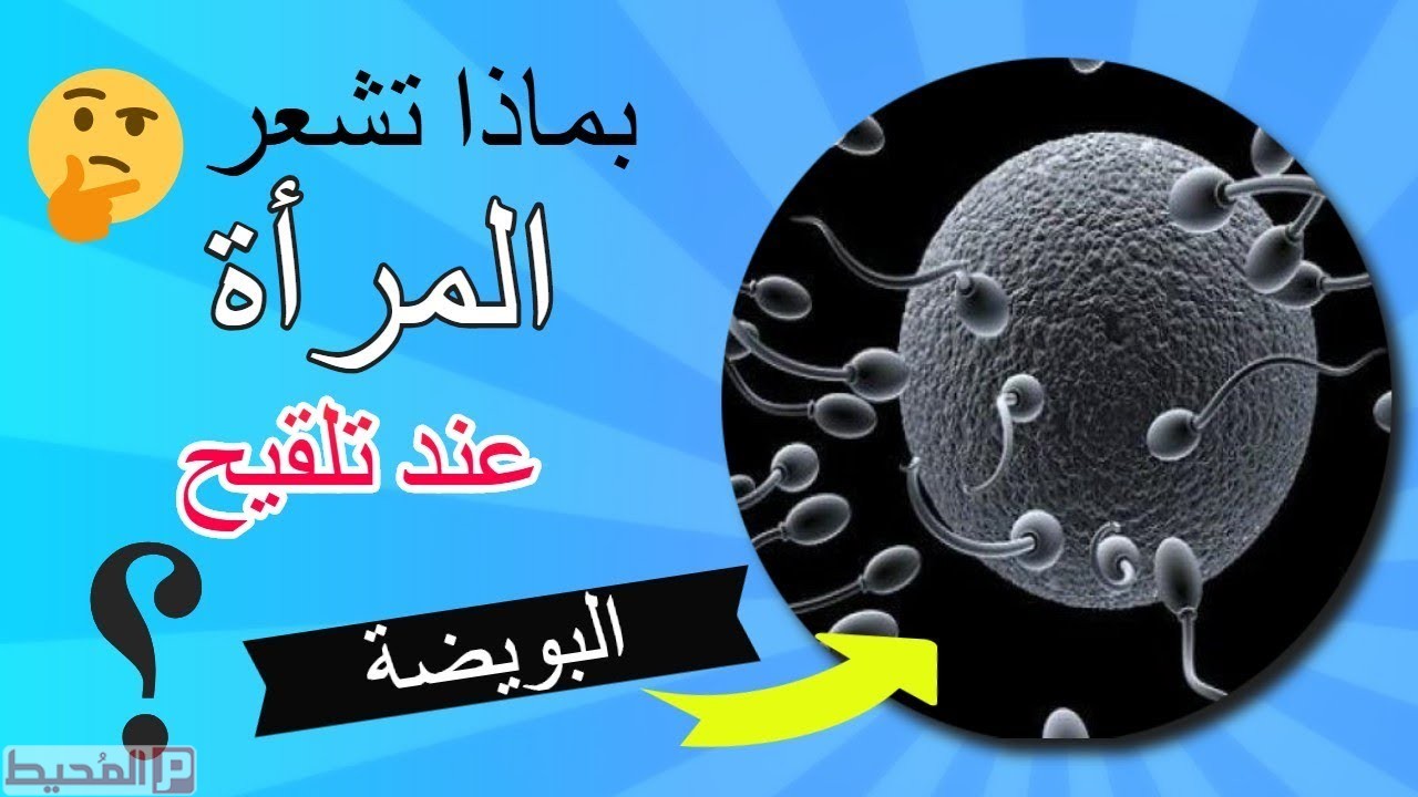 عند تلقيح البويضة ماذا تشعر المراة -معلومات مهمه هتفيدك 2455 2