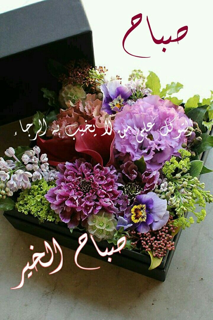 رمزيات صباحيه - صور ورسائل صباحيه 2435 3