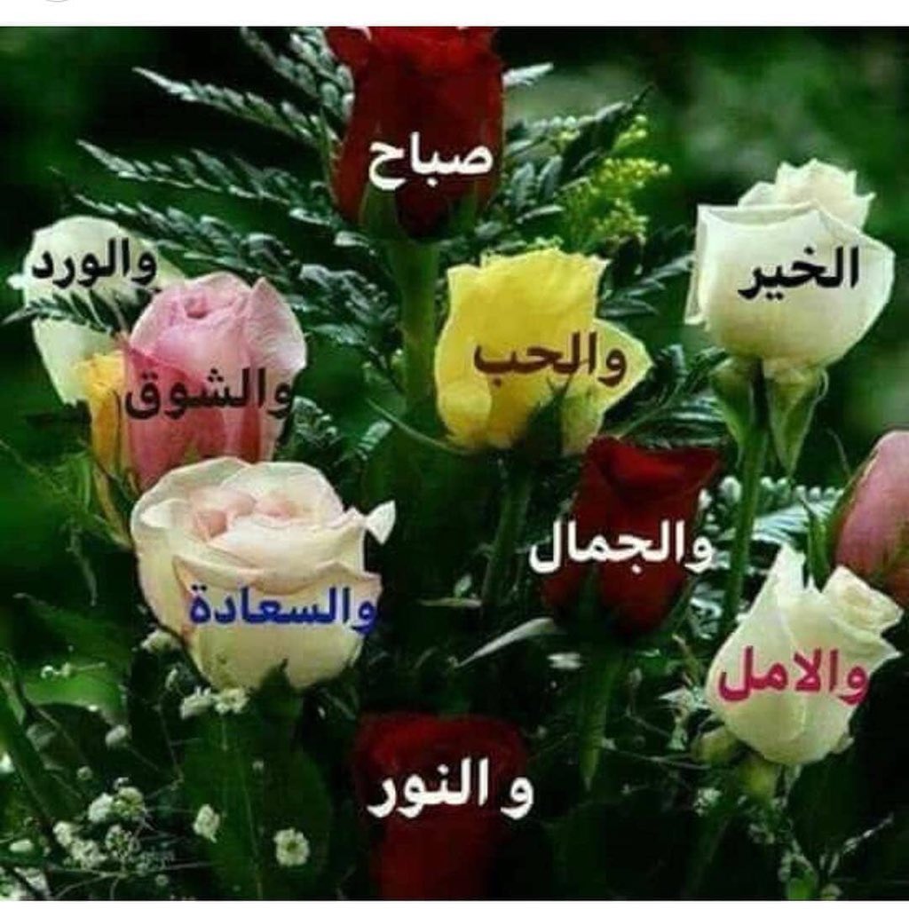 صباح الحب والشوق , بالصور اجمل صباح الحب والشوق