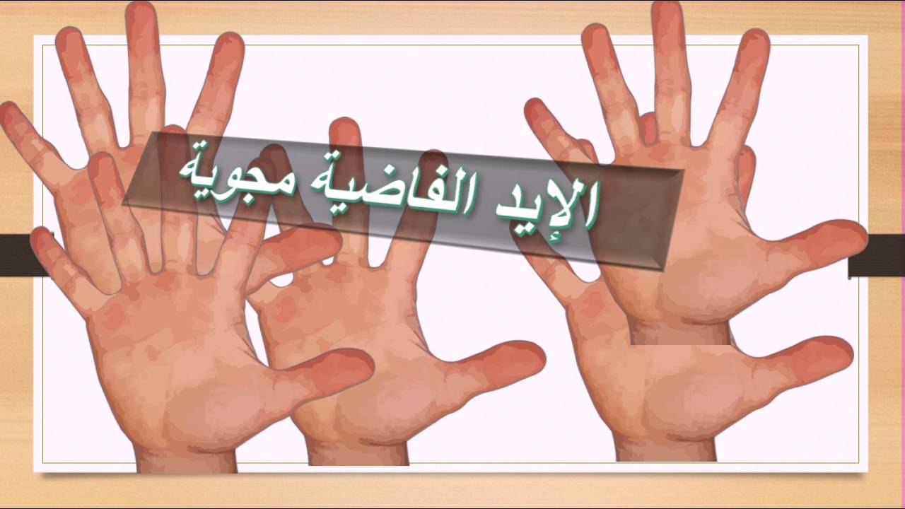 حكم وامثال شعبية 4071 13