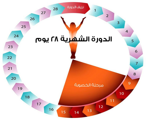 عدم انتظام الدورة , أسباب عدم إنتظام الحيض