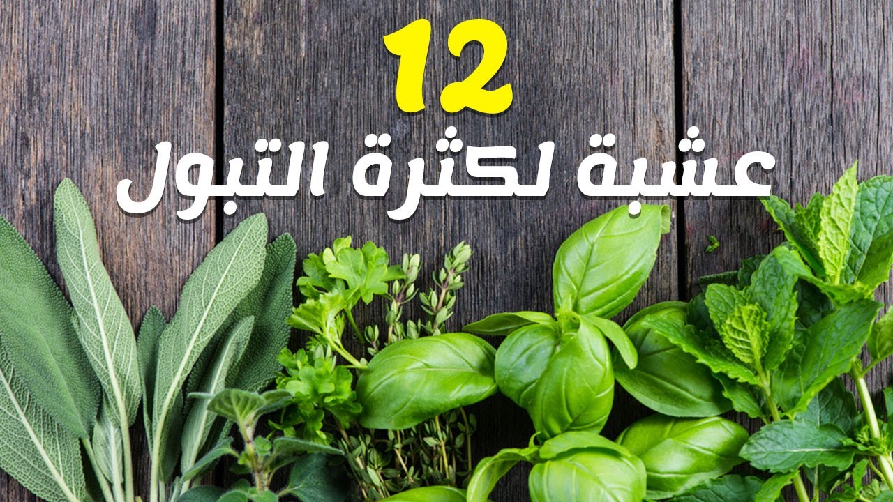 علاج كثرة التبول بالاعشاب 3833 3