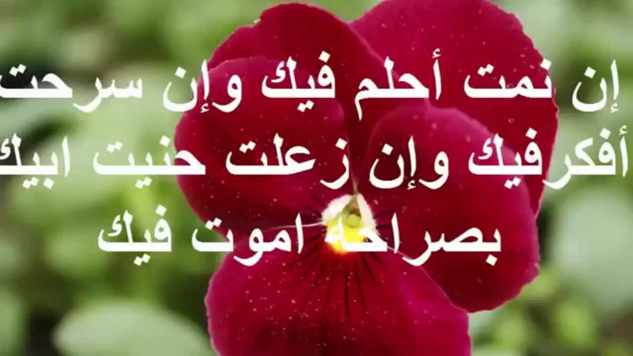 رسائل عيد الفطر للحبيب- رسائل عجبت حبيبي اااوي 11563 6