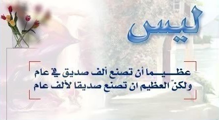 زهور الكلمات - اجمل الكلمات عن الصديق 1864 5