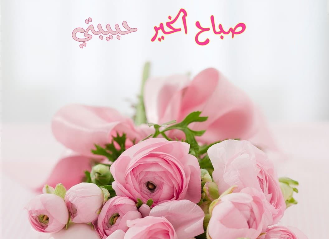 شعر صباح الخير حبيبي 3982 13