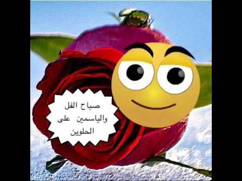 صباح الفل - يا صباح الفل والياسمين والزهور الجميلة 1486 8