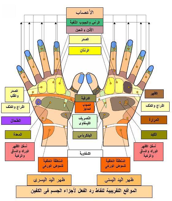 الطب الصيني- ما هو الطب الصيني 972 3